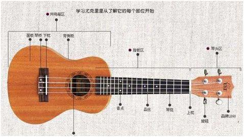 【2021】尤克里里选购指南:附5款高性价比尤克里里推荐