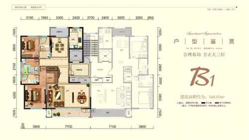 伊宁人居需求,在具备开发城市高端住宅条件下,倾心设计营建·海棠公寓