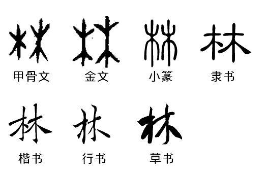 参考附图,"林"字的甲骨文,金文,小篆,隶书,楷书