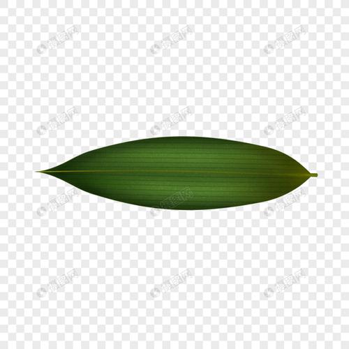 手绘卡通创意端午节龙舟节可爱粽子元素免扣单片粽子叶