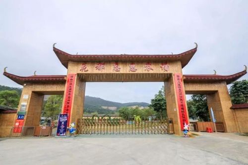 摇摇晃晃的瞬间 一起共度欢乐的亲子时光 地址:广州市花都区赤坭镇