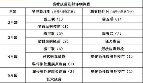 猫咪疫苗三联和五联有什么差异?收下这份铲屎官的专业