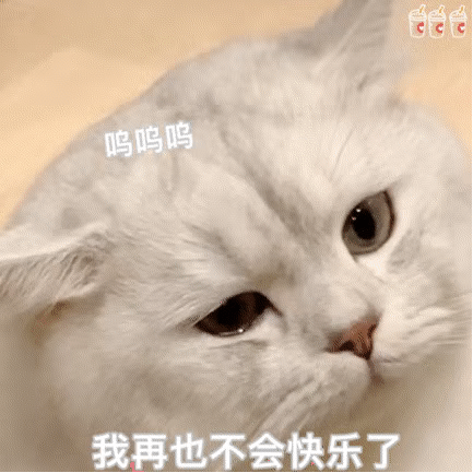 表情包可爱萌宠gif