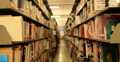 校园环境空镜学校大学校园_1920x1000_高清视频素材