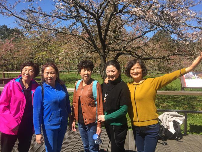 汉阴的女人最美丽一一中国台湾之行(20190308)