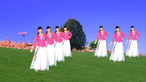 云儿开心广场舞荞麦花相关视频