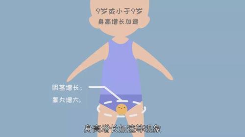 9岁或小于9岁的男童有阴茎增长,睾丸增大,身高增长加速等现象.