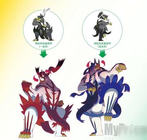 精灵宝可梦剑盾武道熊师怎么样 熊徒弟两大进化形态种族值属性介绍