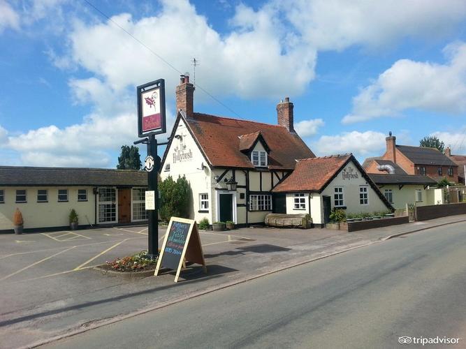 the hollybush