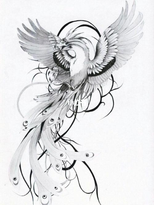 涅槃重生—凤凰纹身手稿推荐_纹身_初刺攻略_紋身_美妆_彩妆