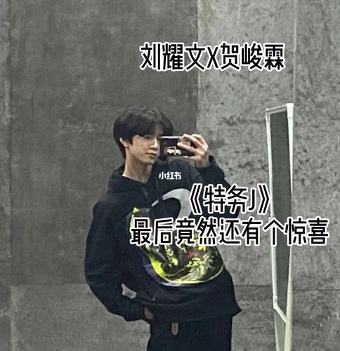 刘耀文x贺峻霖特务j