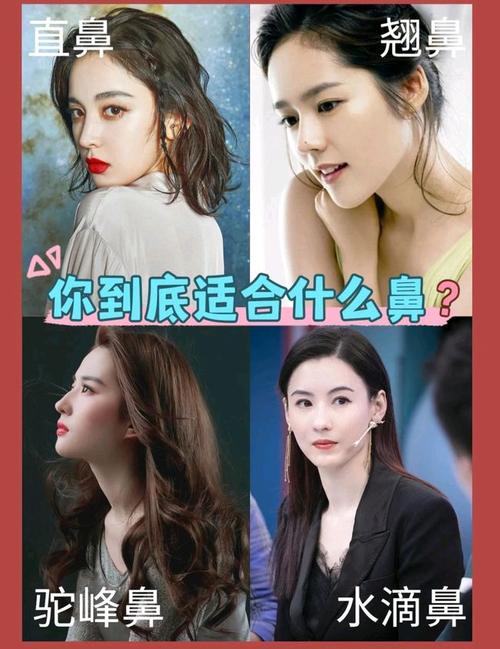 女明星好看鼻子大盘点