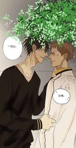 贺顶红 | 半次元-acg同人创作&同好社群