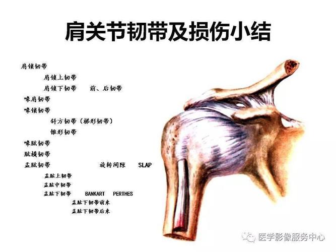 肩关节韧带及损伤的mr表现