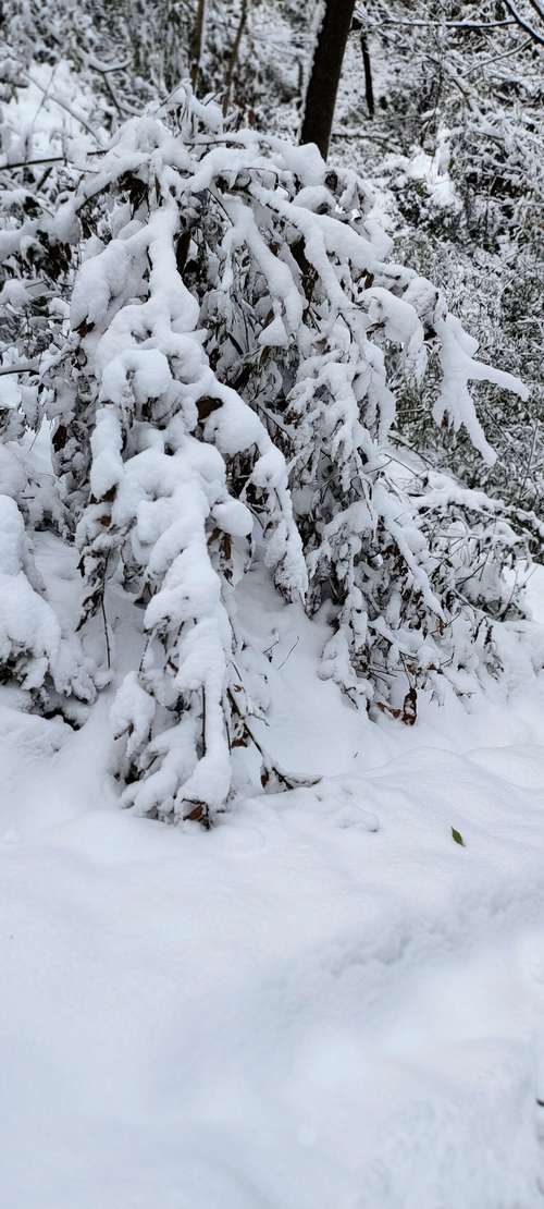 银装素裹,白雪皑皑