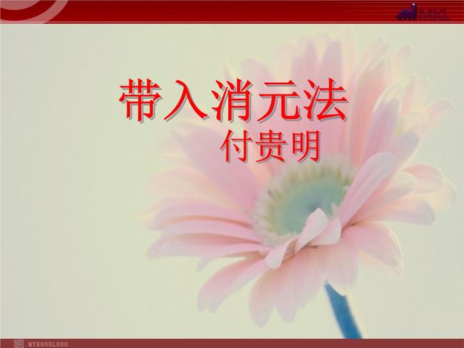 带入消元法 付贵明.pptx