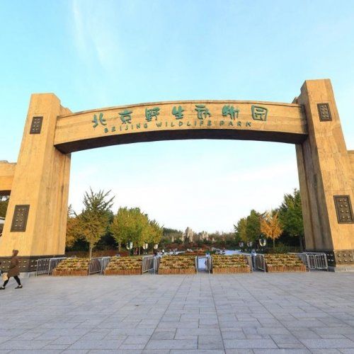 北京大兴野生动物园