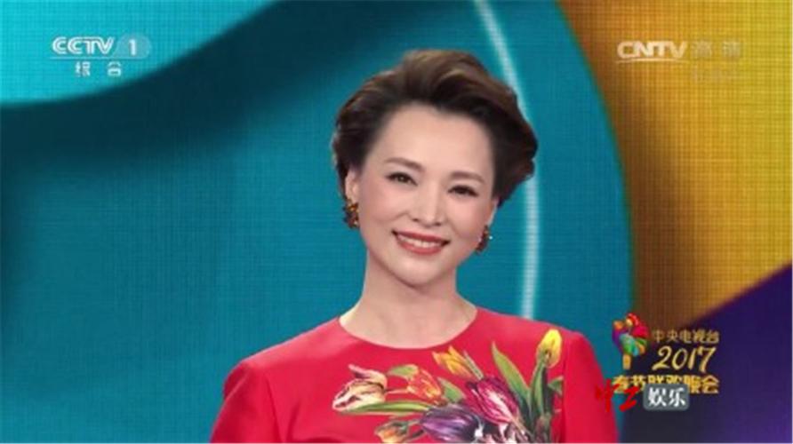 盘点董卿13年春晚主持服饰变迁:从大气华贵到雍容典雅