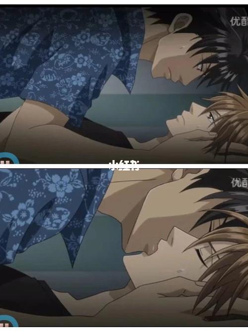 双男主动漫_动漫_双男主_影视_动漫