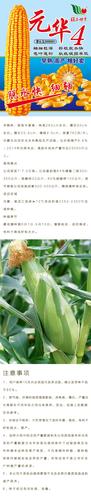 > 玉米种子 > 玉米种子 > 元华4号 10000粒
