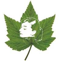 叶子头像唯美意境 绿色清新树叶头像_微信头像图片大全