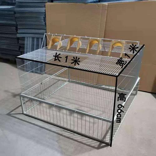 只进不出捕捉神器鸽子天落笼只进不出笼 鸽笼四面进口