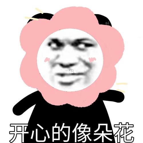 今日份的快乐来了!_表情包_素材_表情