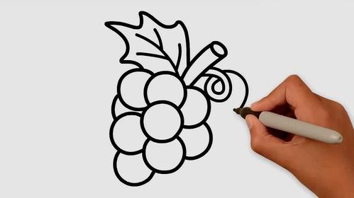 水果简笔画怎么画?