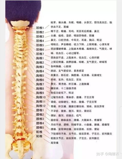 站桩叫醒脊椎解放人体上海德圆老师谈站桩