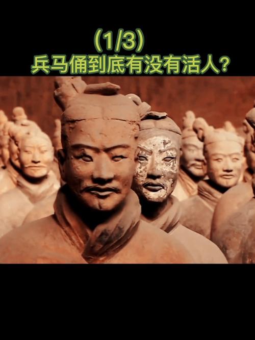 (1/3)_哈尔滨西城红场攻略_历史_兵马俑_社科_历史