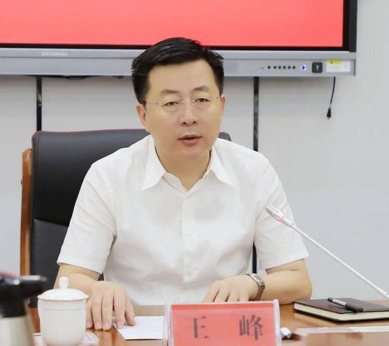 莘县召开市委十二轮巡察整改工作会议_王峰