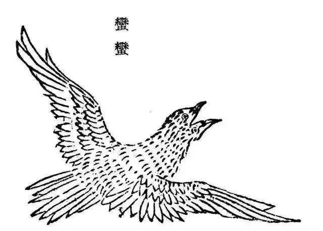 11·11|到比翼鸟的故乡,寻一张"脱单卷轴"