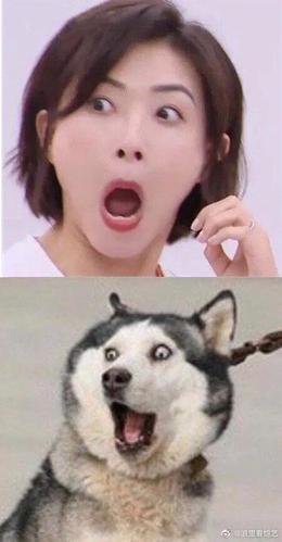 美女金晨,你要学会好好用脸啊!