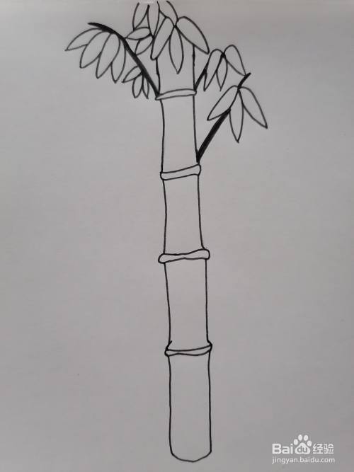 竹子简笔画怎么画