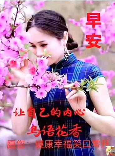 群发早上好问候祝福语唯美动态祝福图片最好看早安祝福美图送给大家