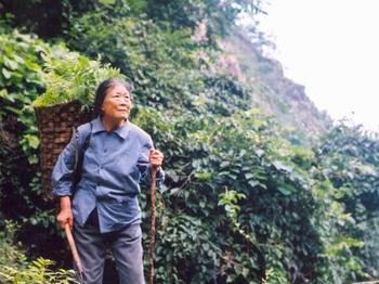 《老娘泪》75岁老太母爱唤回迷途羔羊,成为"偶像派"