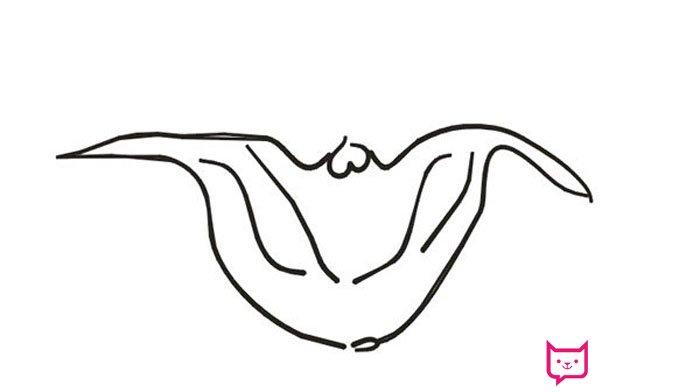 简单的菱角简笔画