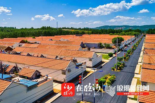 临沂乡村振兴典型案例六十二产业篇中央电视台点赞沙沟镇党支部领办