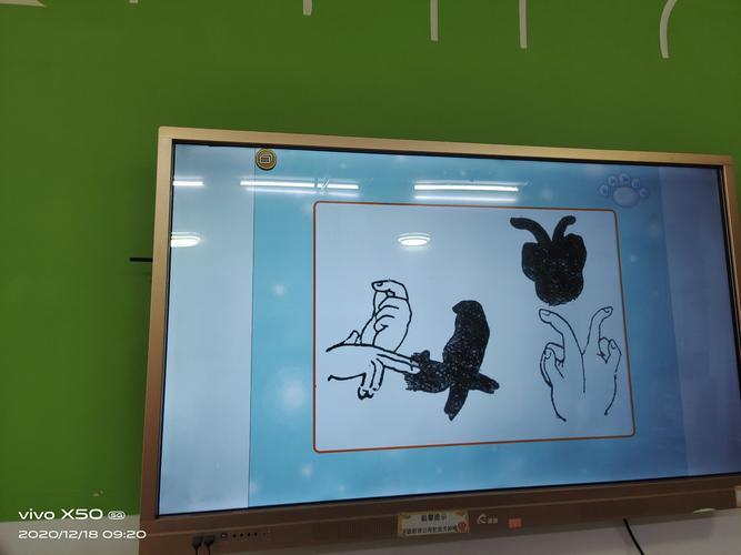 科学活动《十二生肖手影游戏》