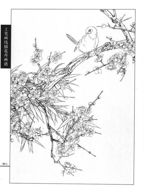 工笔画线描花卉画谱(梅花篇)