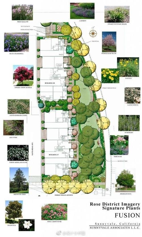 景观植物配置图