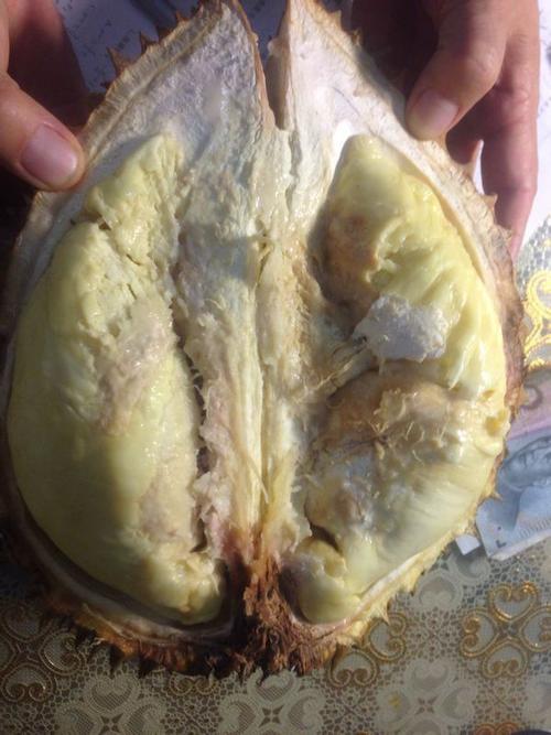 本人第一次买榴莲,买回来看着不对劲,请问这算是变质了吗?