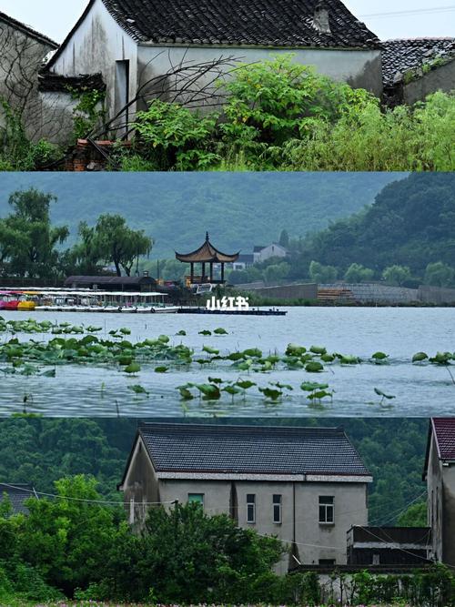 浙江嘉兴南北湖_景点_嘉兴市攻略_南北湖_旅行_故事_薯条_海盐_旅游