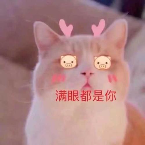 有没有情侣之间可爱调皮的表情包?谢谢各位大佬们!