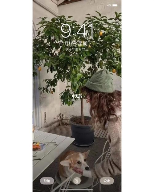 壁纸 | 手机壁纸 | 欧美壁纸_壁纸_手机壁纸_王小波_赚钱_工作_欧美