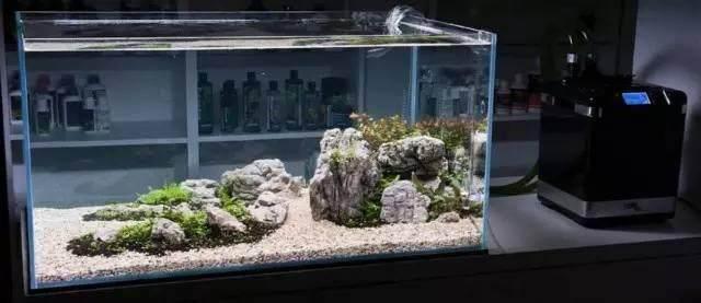 家居水景丨外国人石景草缸开缸教程