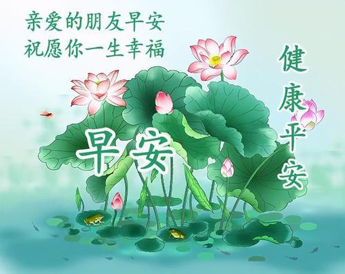 2021特别漂亮的早上好图片,每日最新早安图片