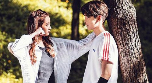 柳州抗裂贴公司(集团报价,欢迎咨询)-欢迎您!