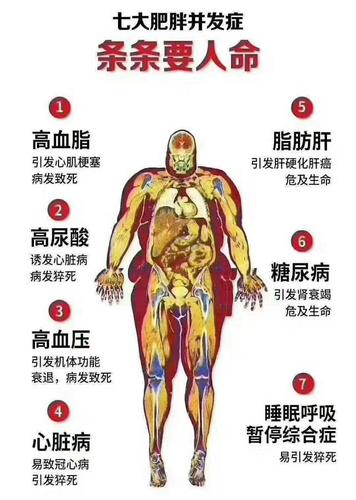 人体健康百象之二十一——脂肪