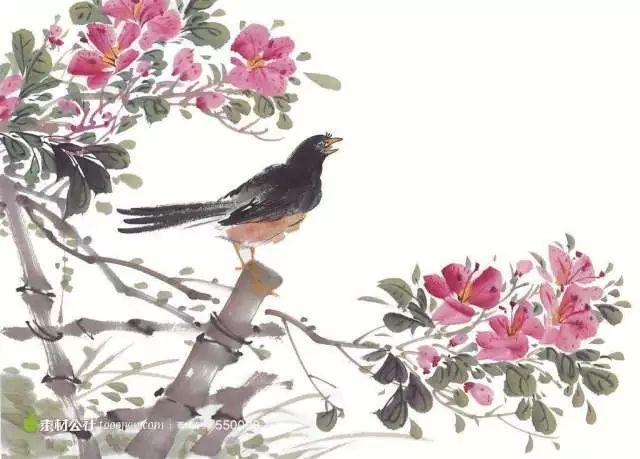 和孩子一起读诗 | 蜀国曾闻子规鸟,宣城还见杜鹃花